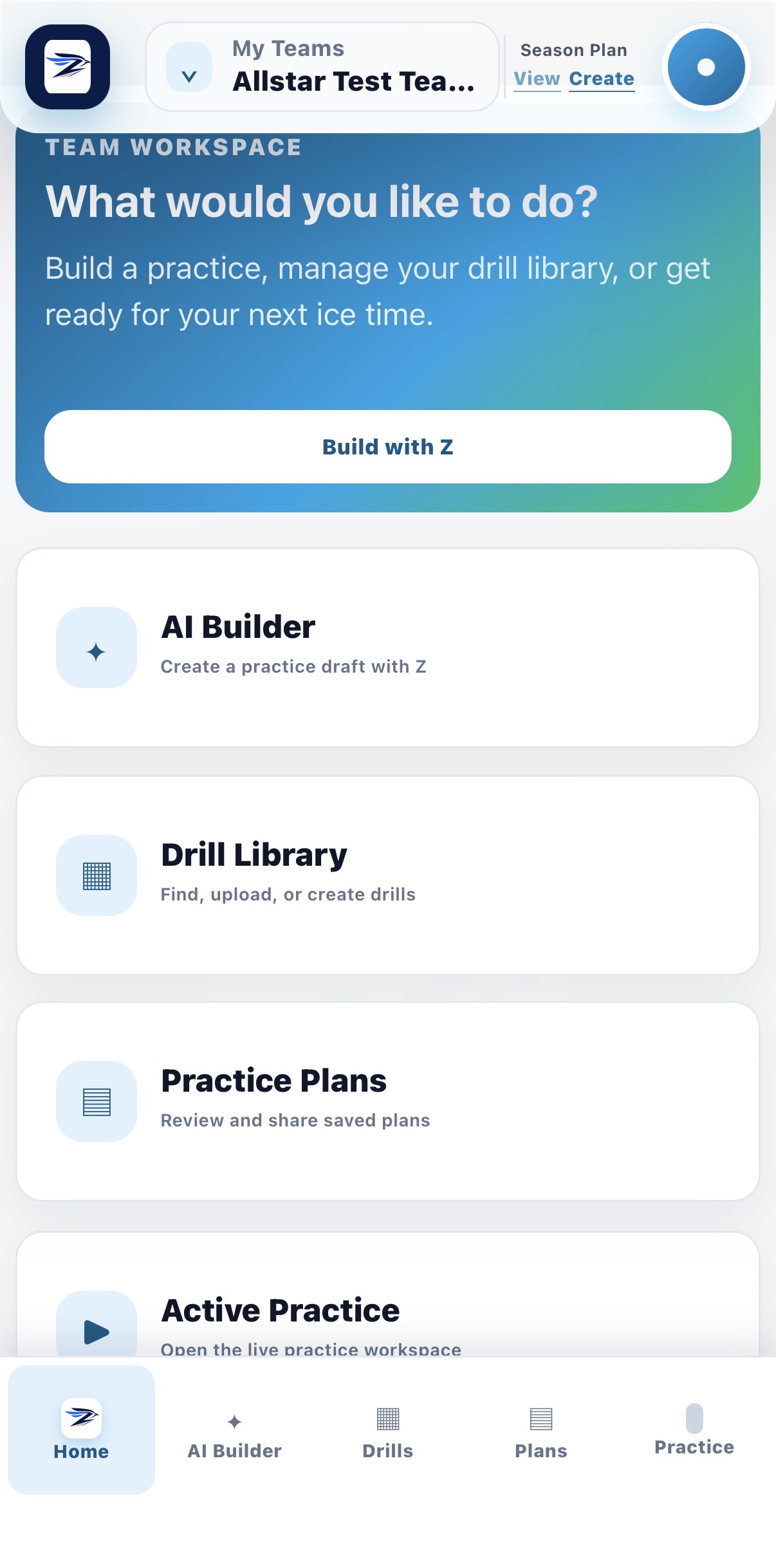 CoachZippi team workspace